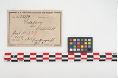 Etikett zu Bronzedolchmessergriff (NHMW-PRAE-025374)